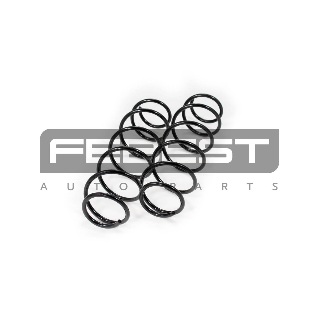 Front coil spring kit