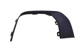 Front Bumper Molding - GENUINE LAND ROVER