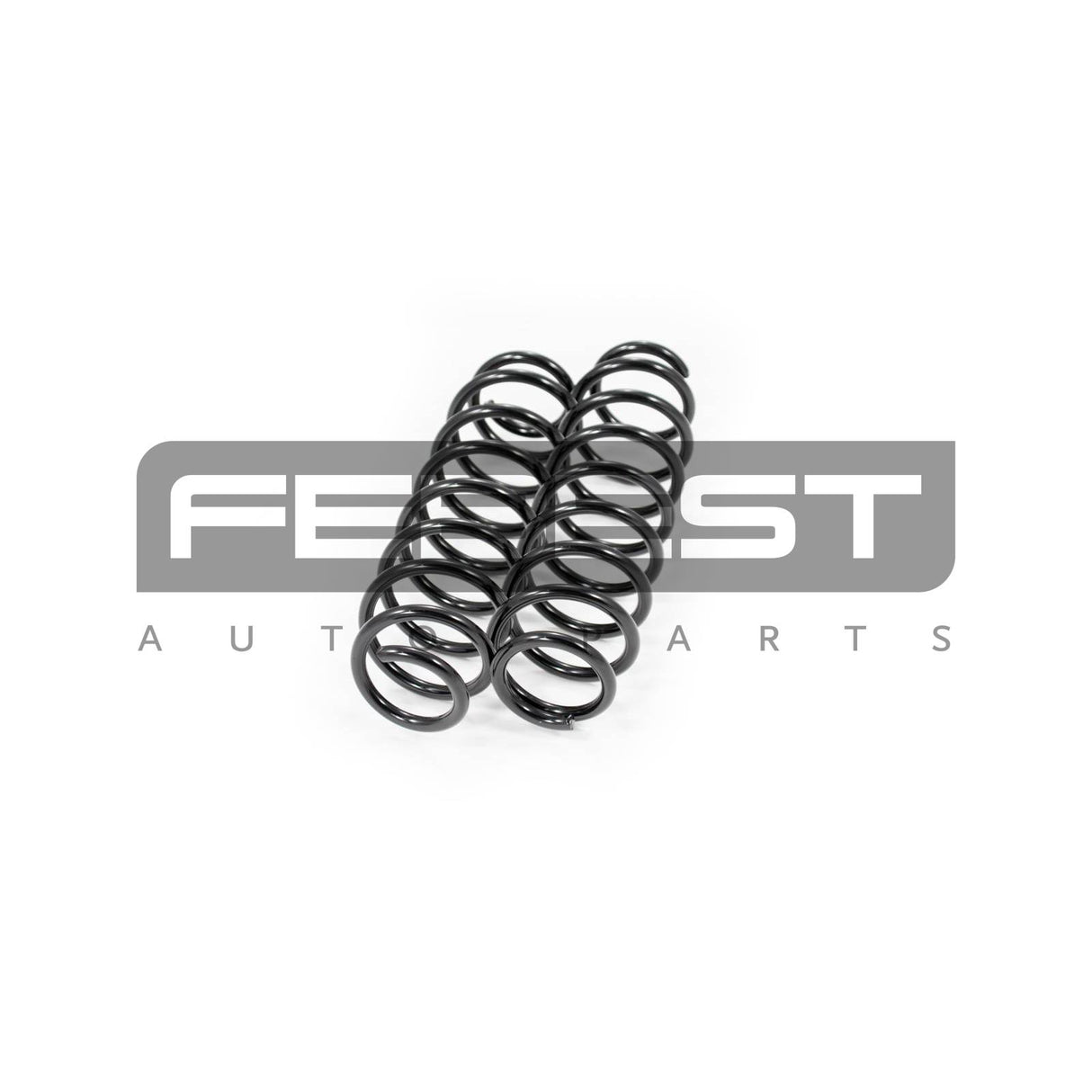 Rear coil spring kit