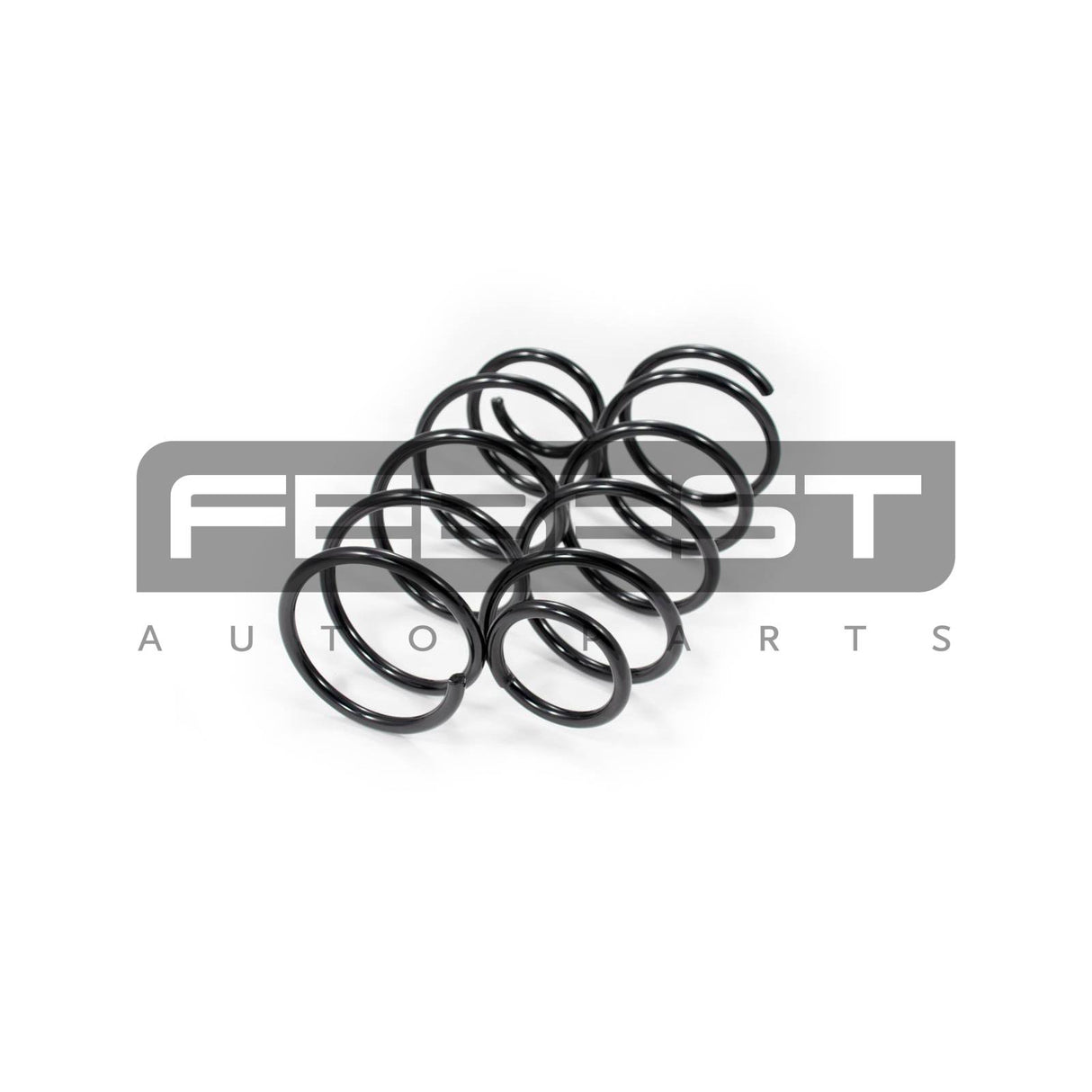 Front coil spring kit