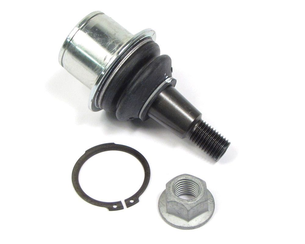 Lower ball joint assy including circlip and nut