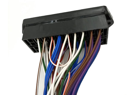 Main Wiring Harness