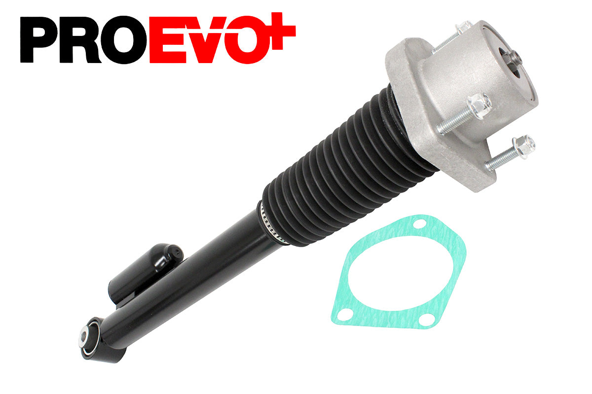 Shock absorber - rear - lh