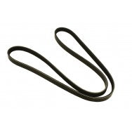 Drive Belt Alternator - ALLMAKES