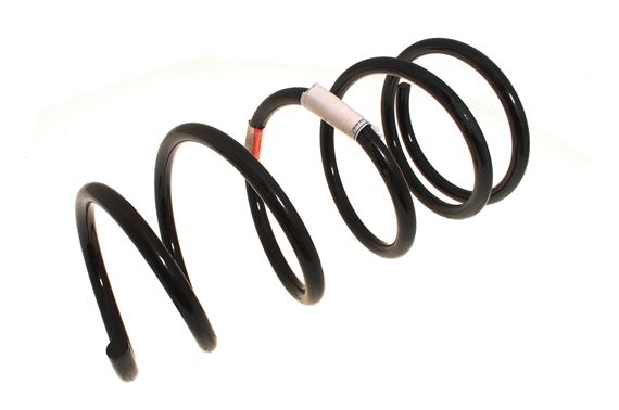 Front Coil Spring