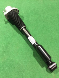 Shock absorber - rear - rh