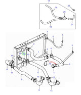 Hose - oil cooler