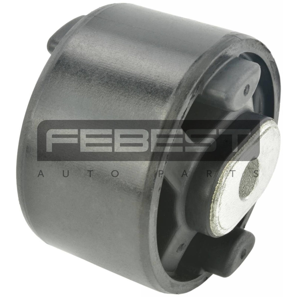 Rear differential bushing