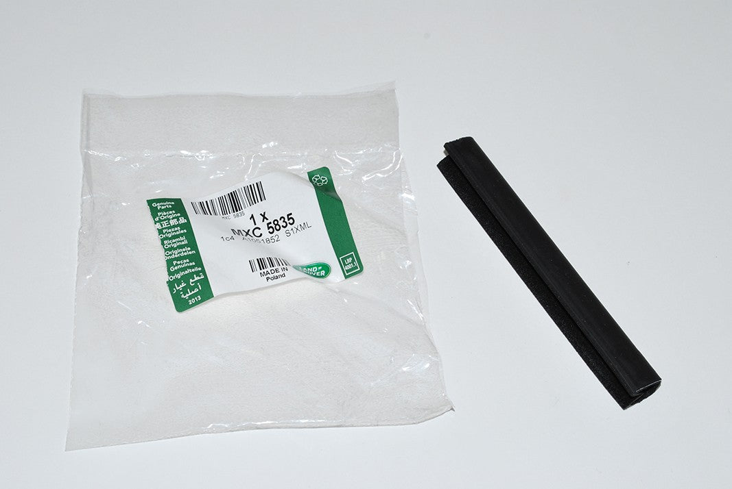 Channel - door glass