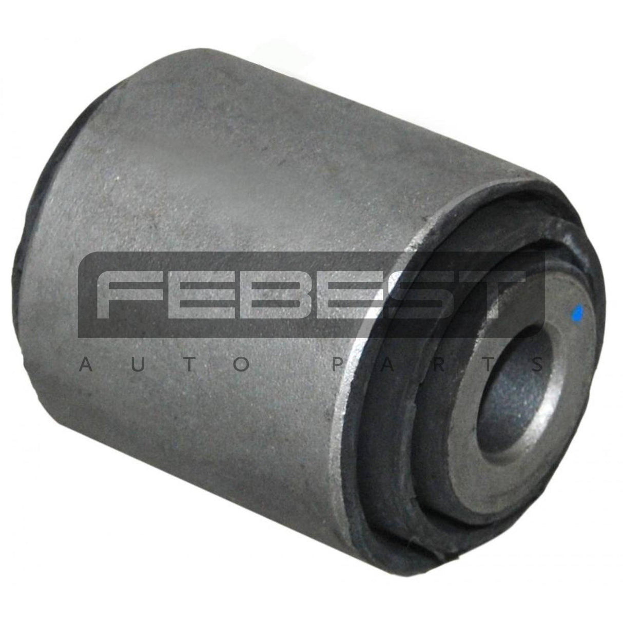 Bushing, rear lower control arm