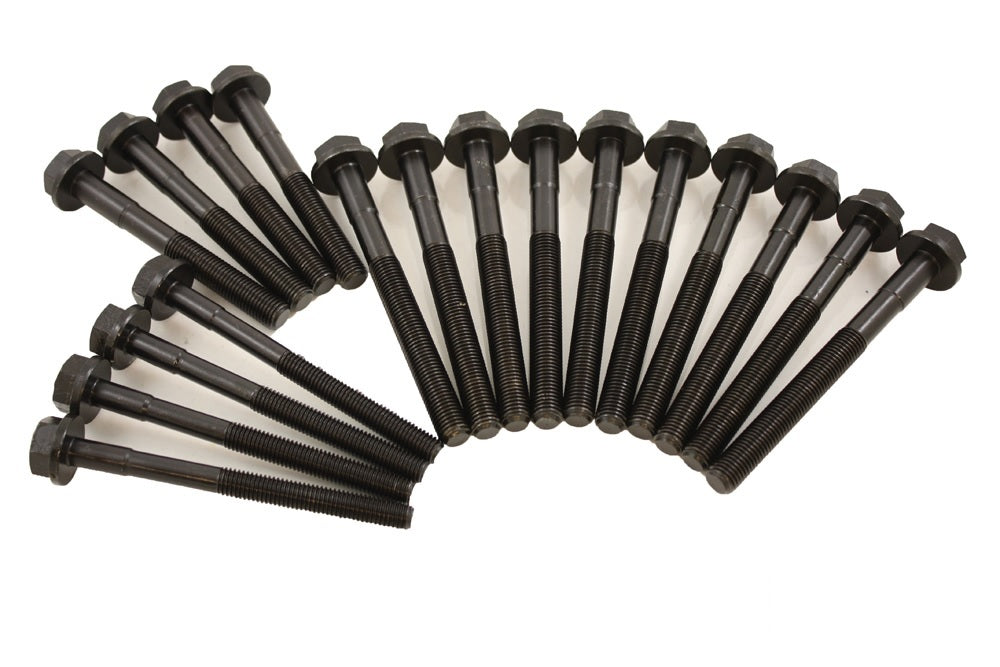 Head Bolt Kit 200TDI