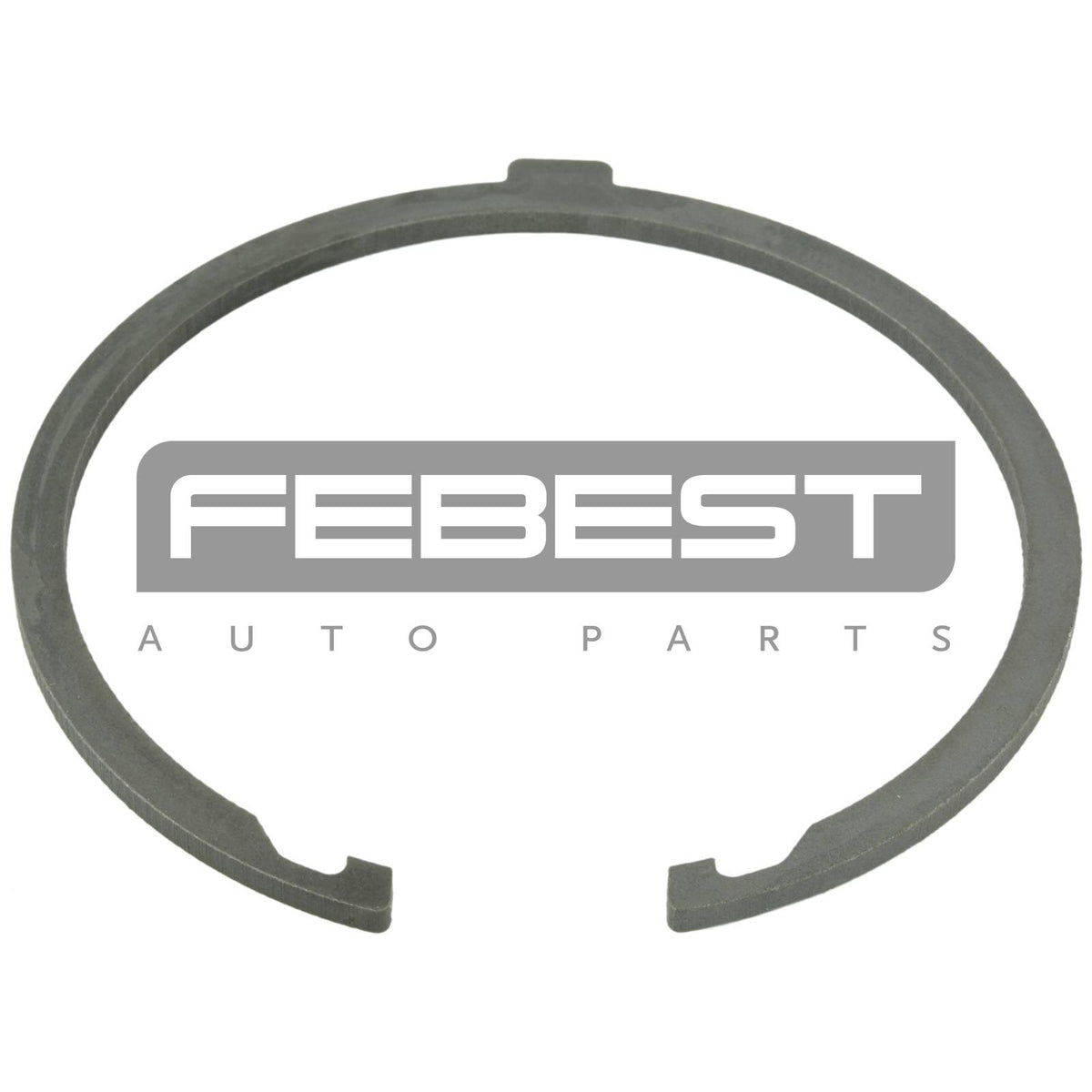 Retaining ring - FEBEST