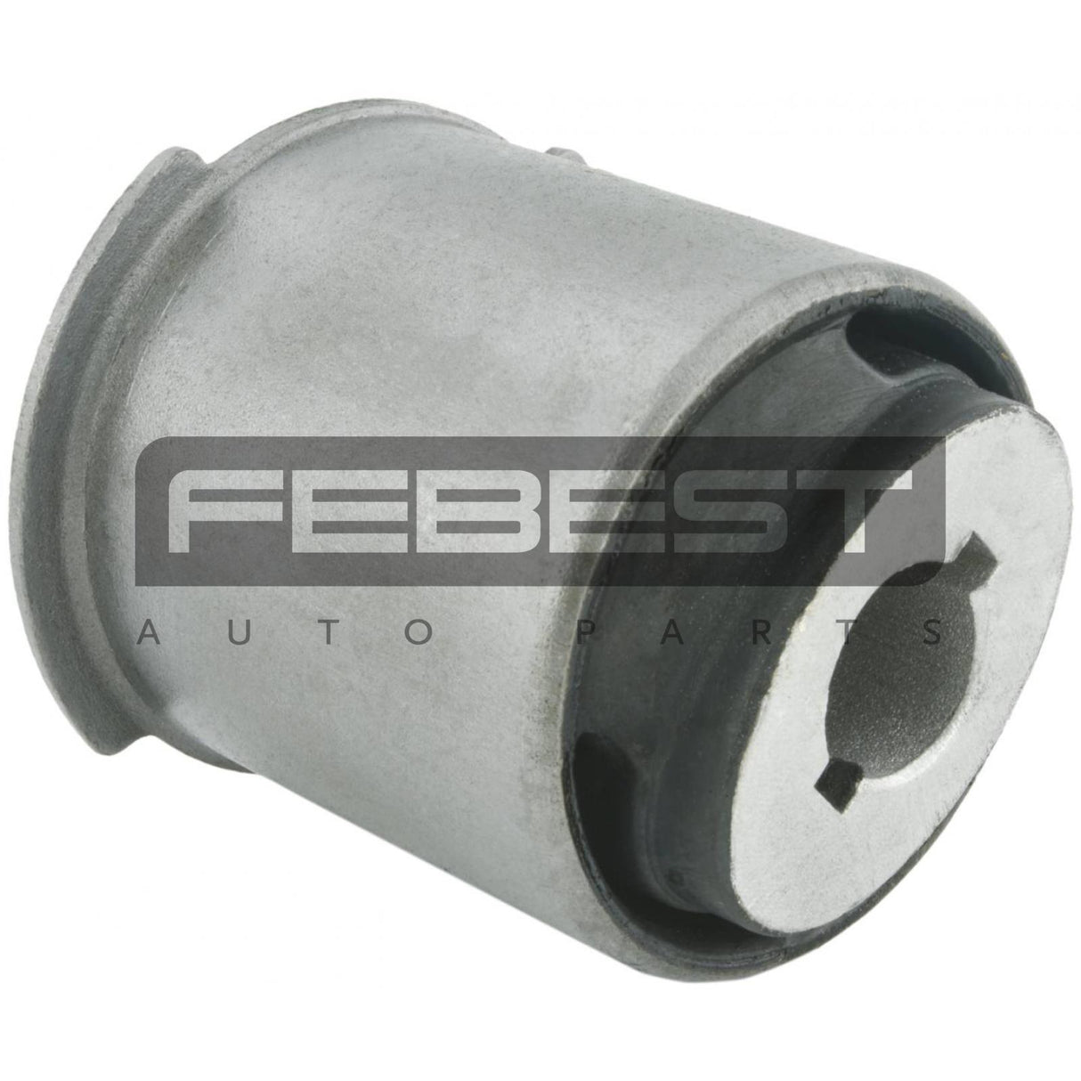 Rear differential bushing