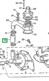 By Pass Hose