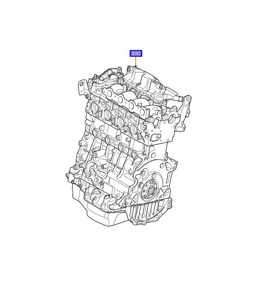 Stripped Engine - Remanufactured