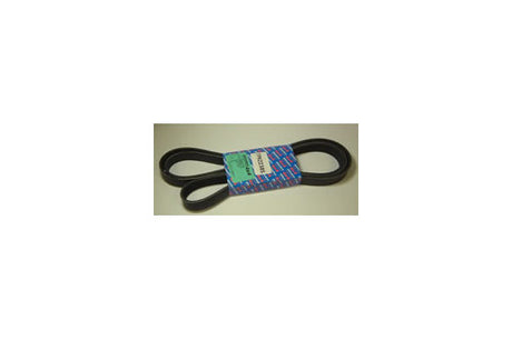 Drive Belt Alternator