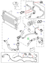 Radiator Hose