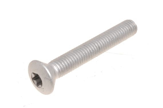 Side Rear Door Hinge Bolt