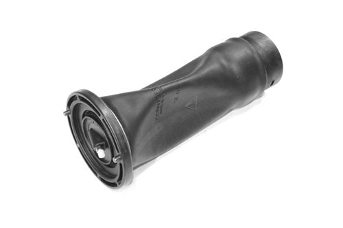 Air suspension spring - Rear - DUNLOP