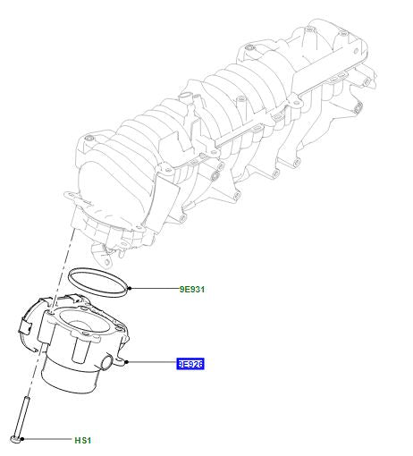Throttle body and motor