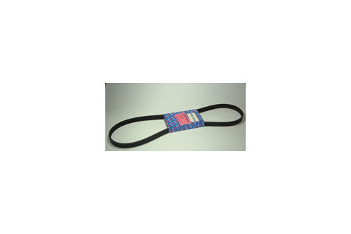 Drive belt - rrc 2.5l diesel