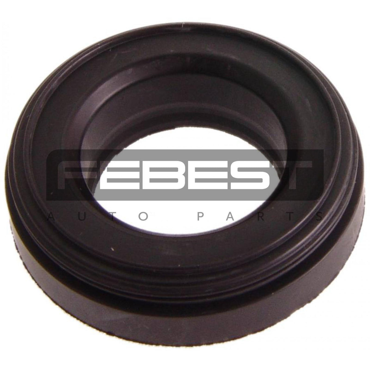 Seal ring, spark plug tube