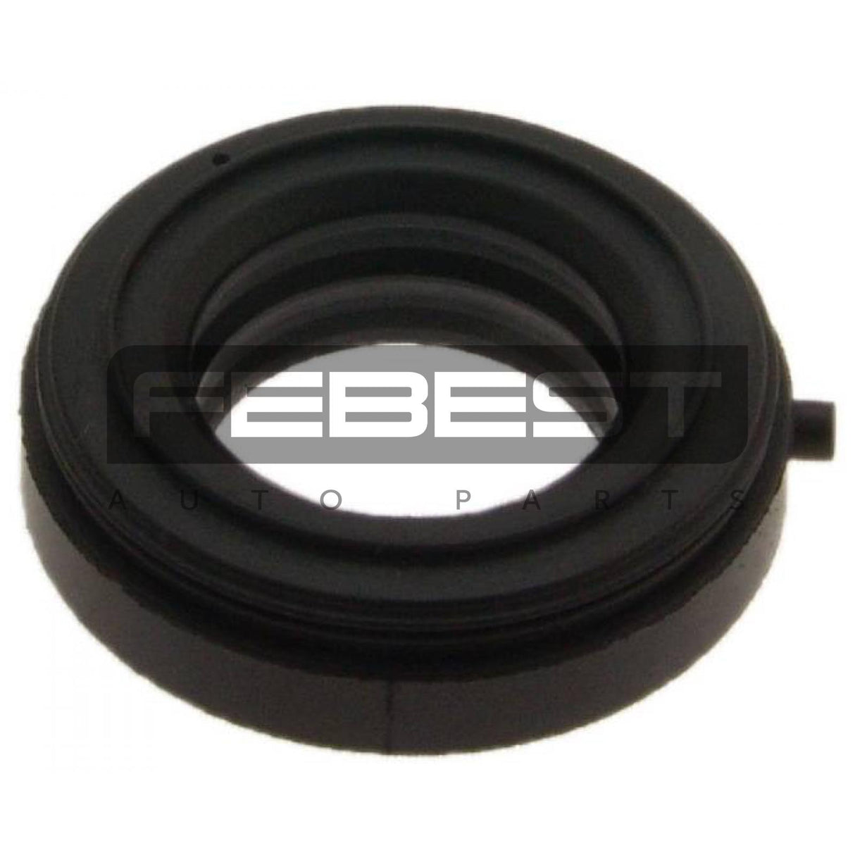 Seal ring, spark plug tube