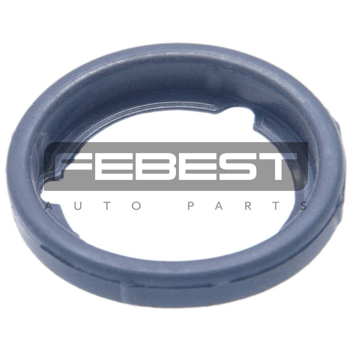 Seal ring, spark plug tube