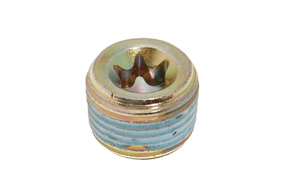 Plug - oil level indicator