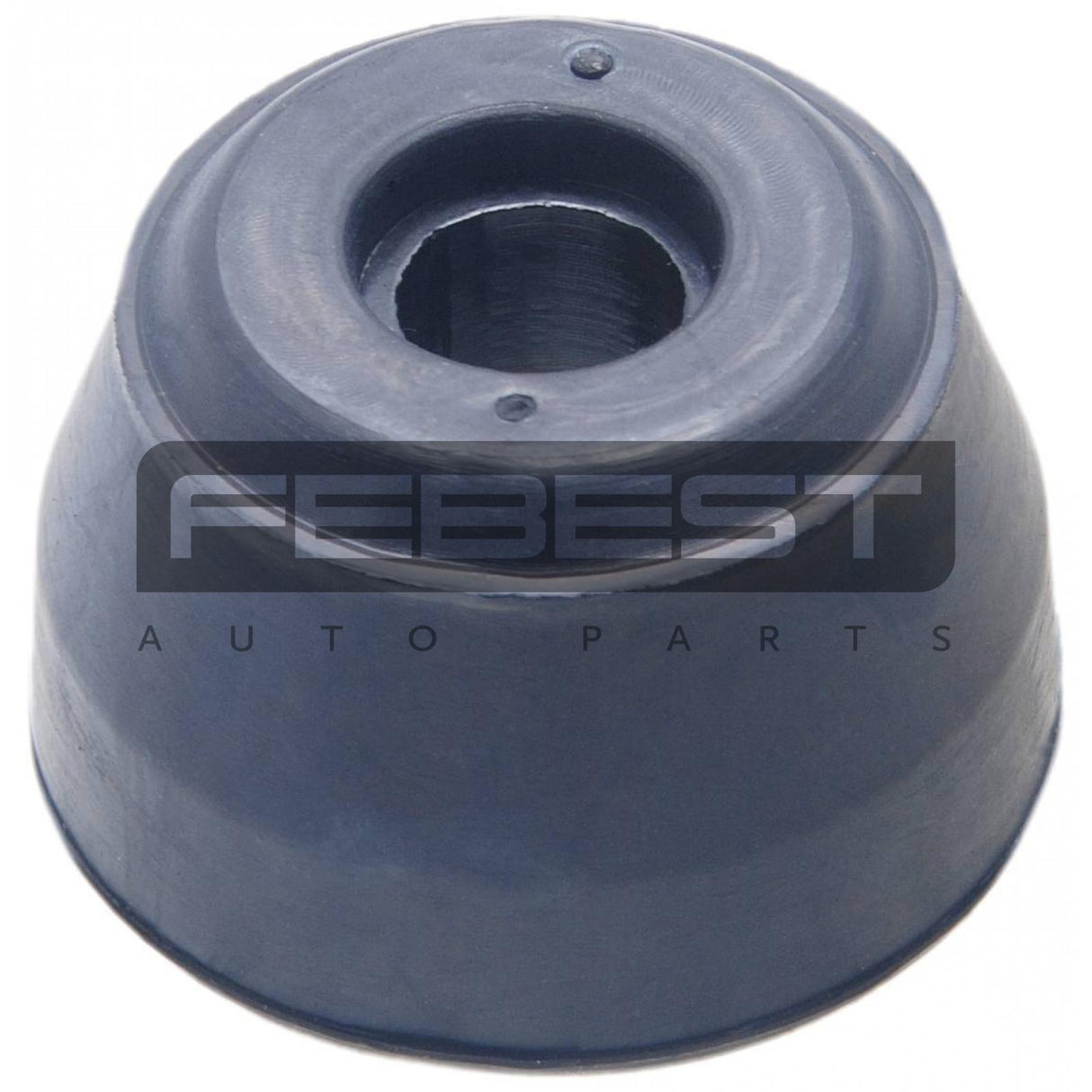 Front radius rod bushing