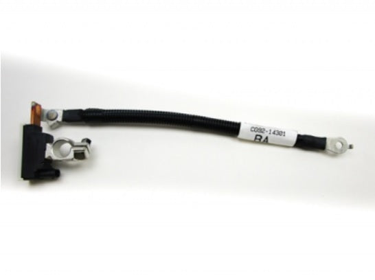 Battery Control System - Cable and Negative Terminal