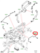 Hose - radiator ventilation