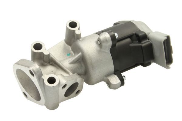 EGR Valve RH