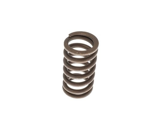 Cylinder head valve spring