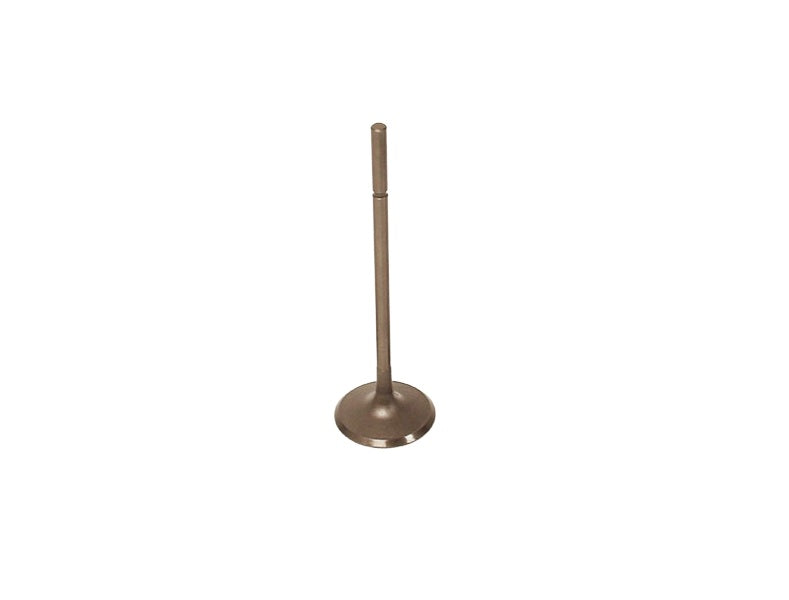 Intake Valve - OSVAT