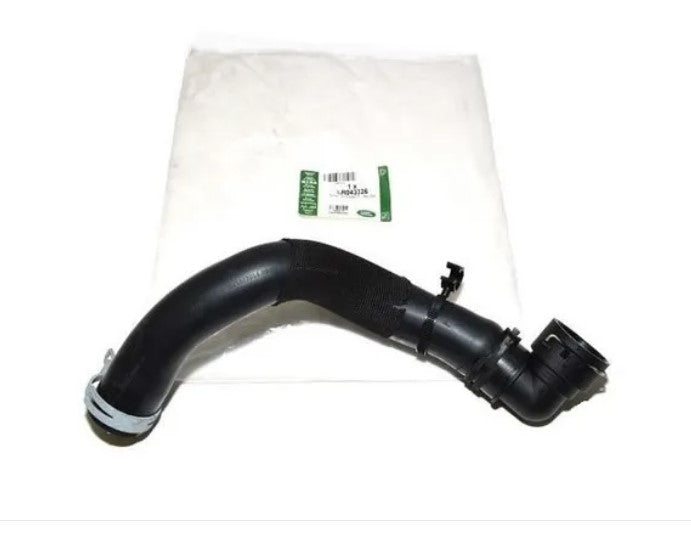 Upper Radiator Hose