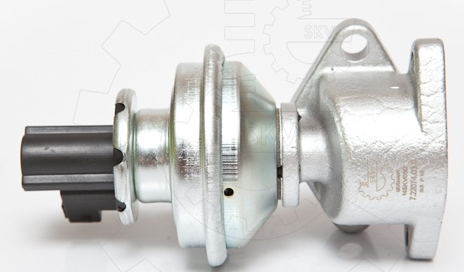 EGR Valve TDI 300