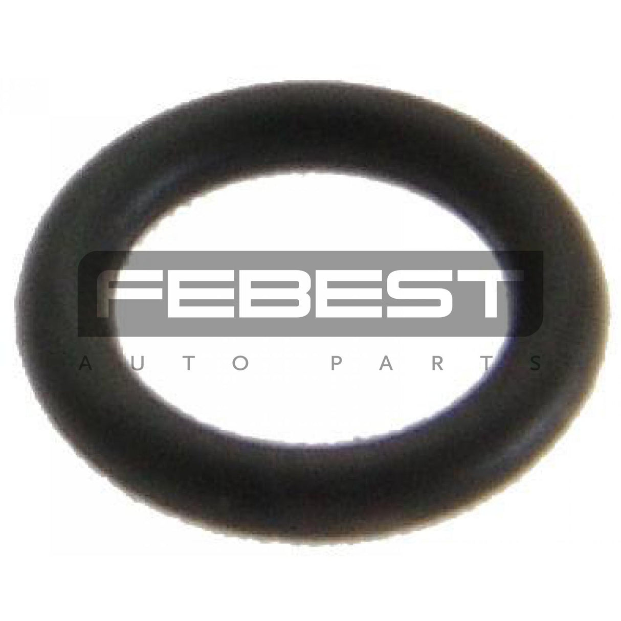 O-ring fuel injector