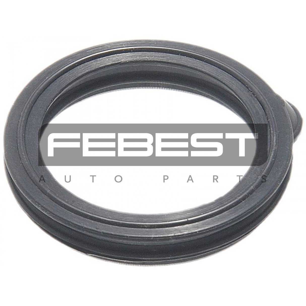 Seal ring, spark plug tube