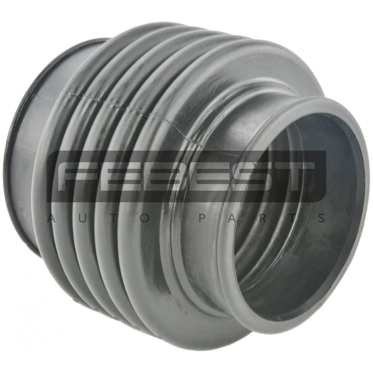 Air cleaner hose - FEBEST