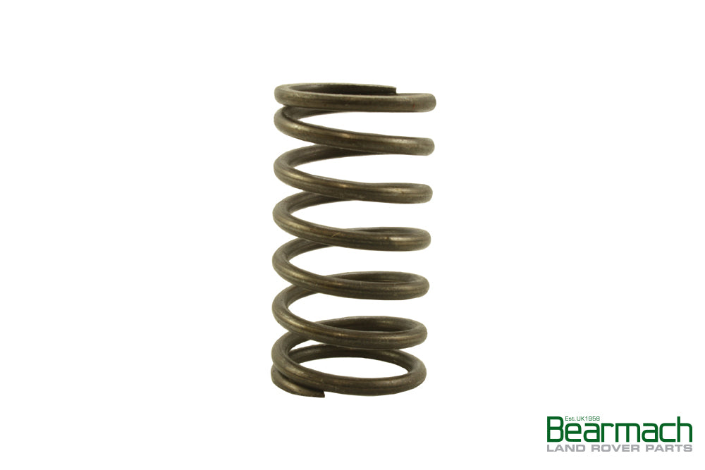 Rocker Shaft Spring