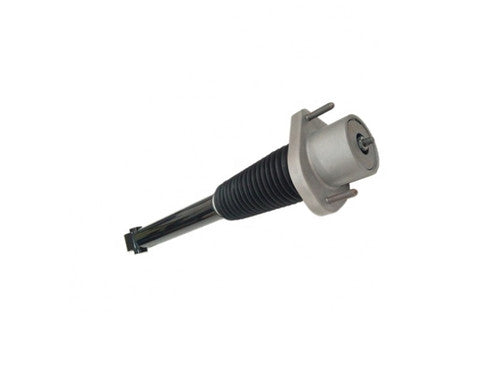 Shock absorber - rear