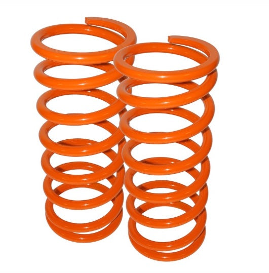 1" lowered rear springs (pair) 110