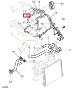 Hose Heather - ALLMAKES