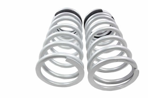 TERRAFIRMA 1in LOWERED REAR SPRINGS (PAIR) - DEF 110