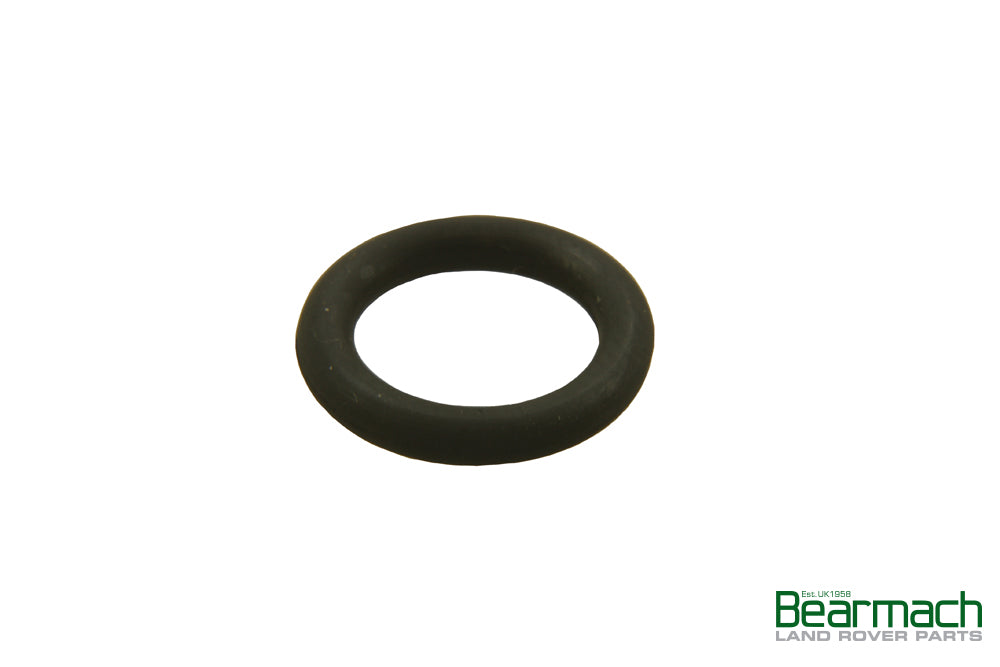 O Ring Fuel Filter