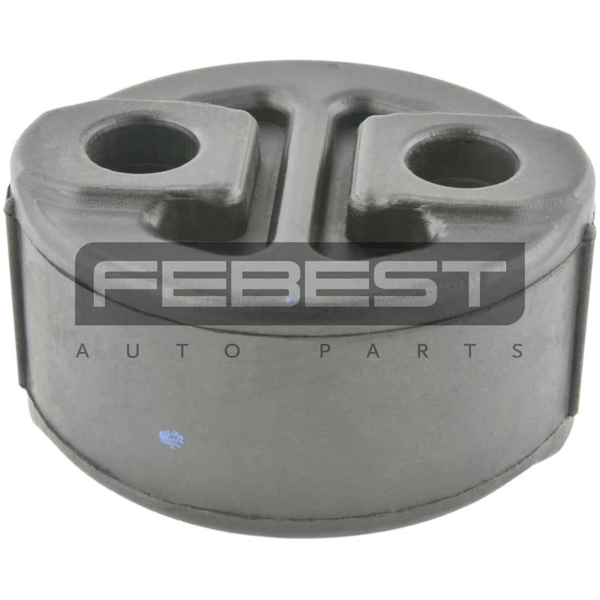 Exhaust pipe support