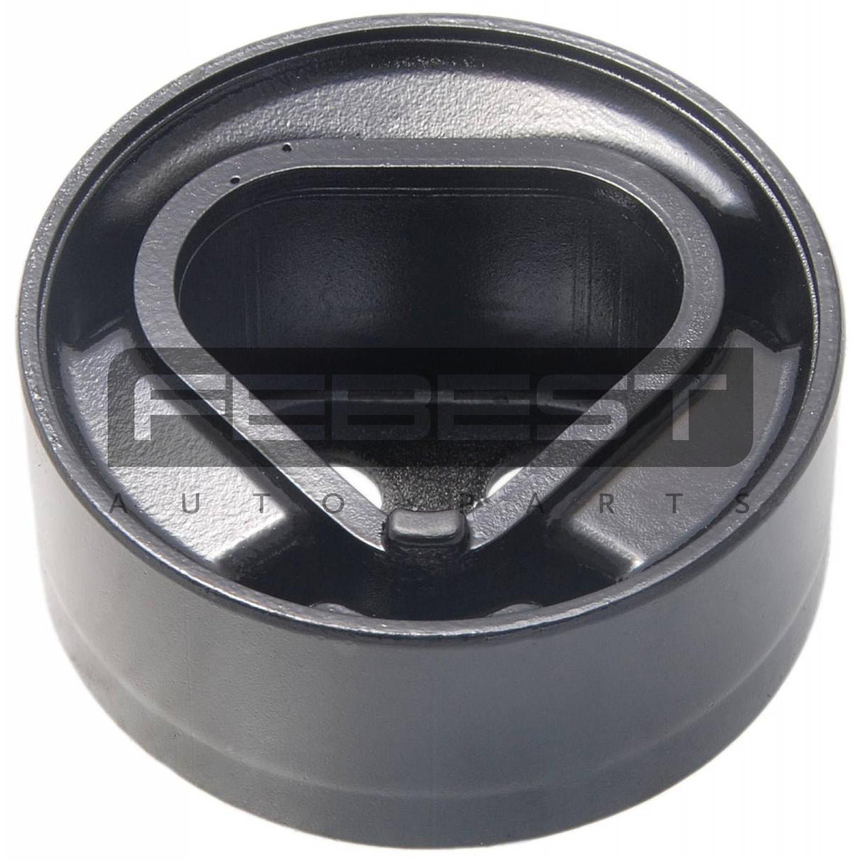 Rear differential mount