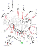 EGR Cooler Hose