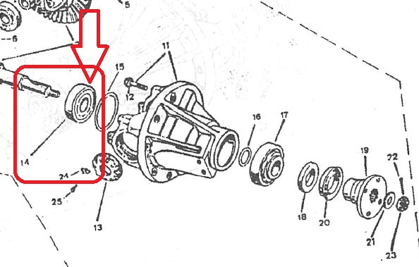 Drive Pinion Bearing